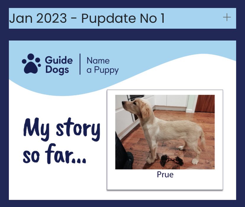 Prue Pupdate No 1 🦮
“She’s friendly, confident and loveable” 
Head to the Charity page of our website for a full pupdate to see how our gorgeous sponsored <a href="/guidedogsscot/">Guide Dogs Scotland</a> puppy Prue is getting on 😍

leithspirits.com/charity

#guidedogsscotland