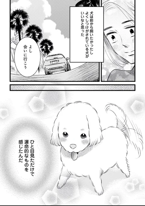 おバカ犬×なんでも完璧でいたい飼い主の最期の話(2/10)

#漫画が読めるハッシュタグ 