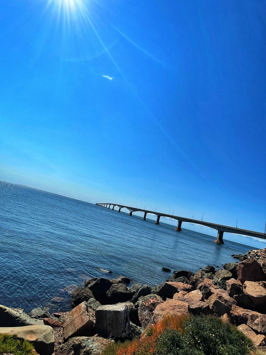 Chefstevewilson's tweet photo. GM to my Mfer’s that GM We are the bridge keeping Twitter connected 🤣🤣☕️☕️☕️ Have a caffeinated Saturday!! #goodmorning #web3community #nftphotography #getcaffeinated https://t.co/re8TZkzVWW