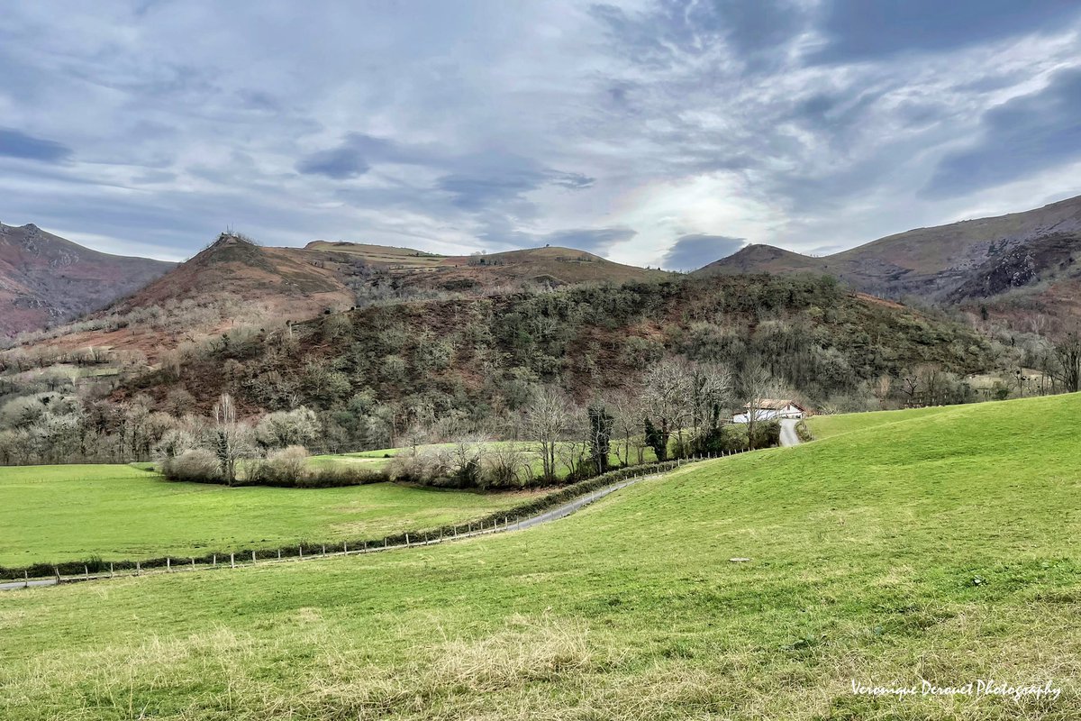 vederouet's tweet photo. ❤️🤍💚 Bidarray
Veronique Derouet 01/2023
#bidarray #paysbasque #basquecountry #pyreneesatlantiques #landscape #paysage @ThePhotoHour @StormHour https://t.co/EBdyYmttSp