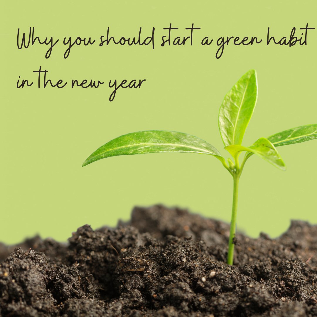 Need a new year's resolution? How about starting a green habit? Tell us your favourite idea below! #bexleyecofestival #greenhabit #saveourplanet