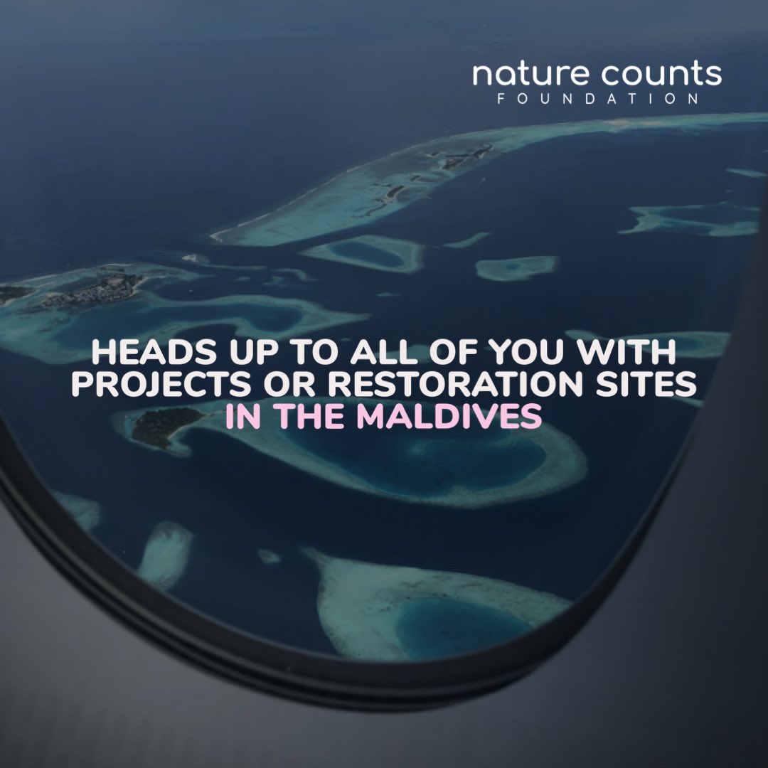 We are so excited to be on our way to the Maldives again and to be able to continue the work we started in 2022! Heads up to all of you with projects or restoration sites in the Maldives. If you would like to discuss a potential camera installation with us, please get in touch🐠