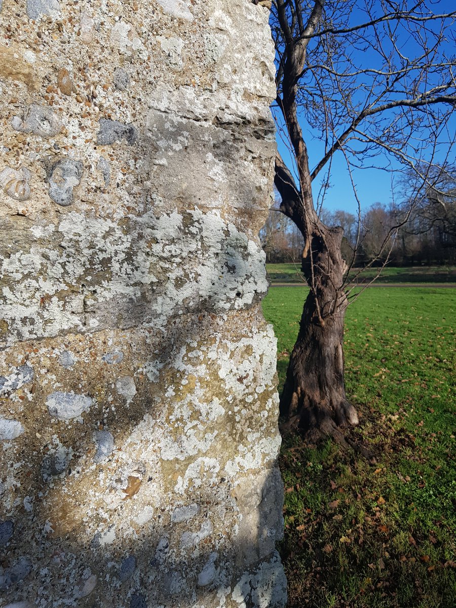 KingJohnsHouse's tweet photo. The quoin that carries the #BailiffscourtChapel cross is said to have been washed up on the beach and supposed to have been part of the parish church that was lost to the sea. A mass dial is recorded on the same stone, but was not visible, possibly due to the lichen. #Clymping https://t.co/98kS0AdiA3