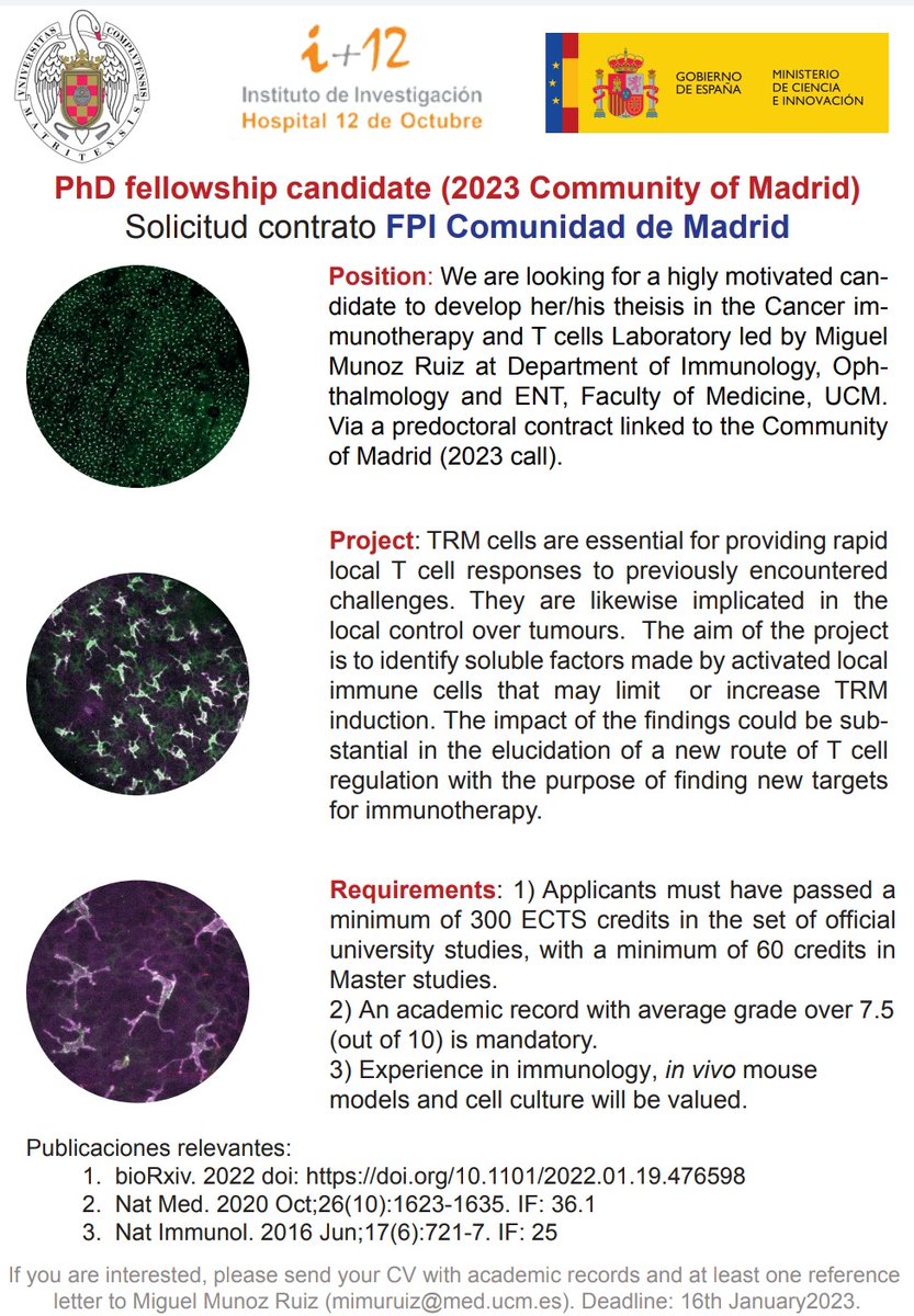 Miguel Muñoz Ruiz (@muoz_miguel13) on Twitter photo Are you looking for a PhD in immunology? Don't miss out this great opportunity at the Complutense University in Madrid <a href="/ucm_madrid/">ucm_madrid</a> <a href="/AreaUcm/">Immunology Department. School of Medicine. UCM</a> Are you looking for a PhD in immunology? Don't miss out this great opportunity at the Complutense University in Madrid <a href="/ucm_madrid/">ucm_madrid</a> <a href="/AreaUcm/">Immunology Department. School of Medicine. UCM</a>