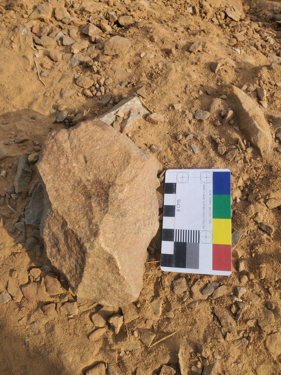 ShalaishB's tweet photo. Lower paleolithic stone tool (cleaver) built on flake found on the surface at leisure valley faridabad. This region needs a survey and immediate protection. 
@BjpharyanaGG @MinOfCultureGoI @ASIGoI @sdm_faridabad @smartcityfbd @Faridabad @narendramodi @cmohry https://t.co/N23s2IZWt1