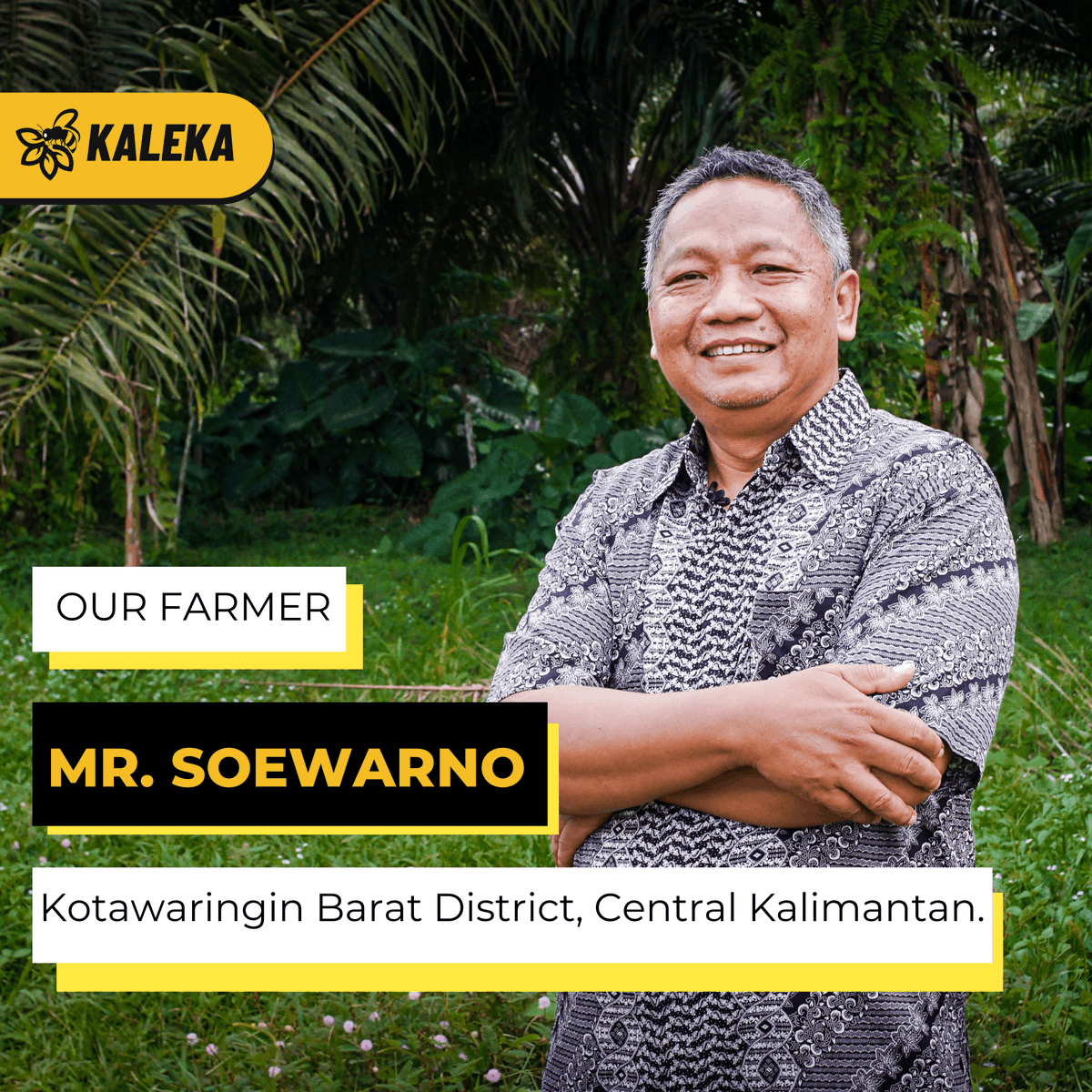 kalekaindonesia's tweet photo. 🌴Meet Our Farmer - Mr. Soewarno, Central Kalimantan🌴

Soewarno is a champion of bringing people together.

#Kaleka #RealizingSustainability #TransitiontoExcellence https://t.co/hNevQvuh16