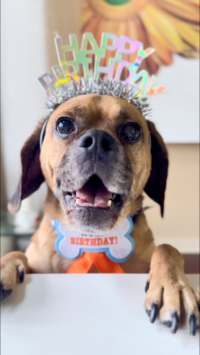 Cpl. Davinci leonardo tweet media