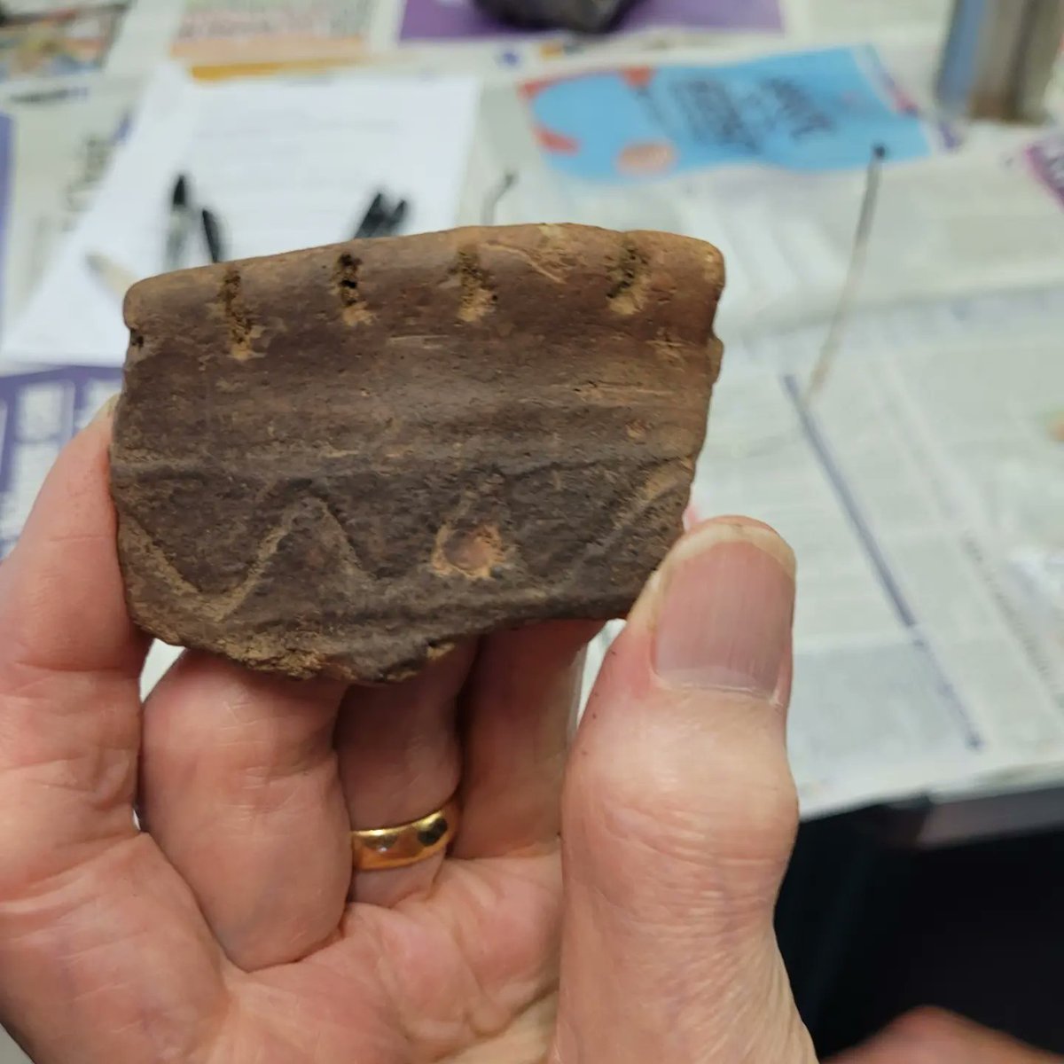 BtnHoveAS's tweet photo. MORE LIVE FROM FINDS PROCESSING
#RockyClump #Stanmer #Brighton #sussex #sussexarchaeology #britisharchaeology #BrightonArchaeology #brightonandhovearchaeology #communitydig #CommunityArchaeology #archaeologymatters #Archaeology https://t.co/P1BY43D0xH