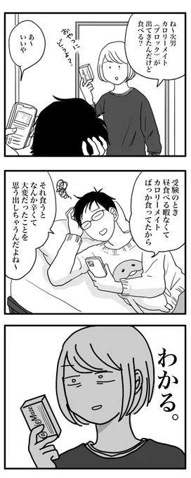 つらい思ひ出…😭
カロリーメイトには親子共々お世話になった。
#美大受験 
