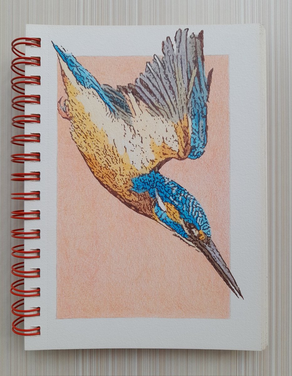 Flying kingfisher
#kingfisher #flyingbird #dailysketch #cutebirds #animalart #arteza #colorpencil #arrsketchbook #artwork #birdsofinstsgram