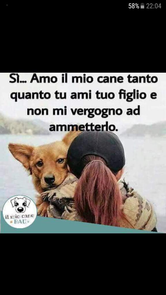Emilystellaemi2's tweet photo. ❤❤❤❤❤❤❤❤❤❤ https://t.co/kZCAR66OsW