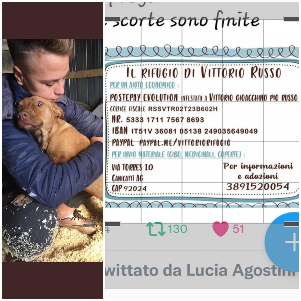 Emilystellaemi2's tweet photo. UN AIUTO AI CANI DI VITTORIO RUSSO.❤❤❤🆘️🆘️🆘️🆘️🆘️🆘️🆘️🙏 https://t.co/GTbBitHxIF
