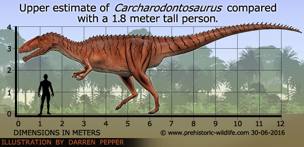 ZenBenZakura's tweet photo. @RespectfulMemes this thing and spino https://t.co/8vSlJ4OJNn