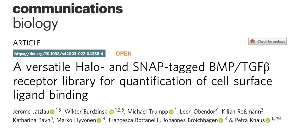 What a great way to start the new year with our paper “A versatile Halo- and SNAP-tagged BMP/TGFβ receptor library for quantification of cell surface ligand binding” finally online at #communicationsbiology  access the pdf using the following link

rdcu.be/c3qEI