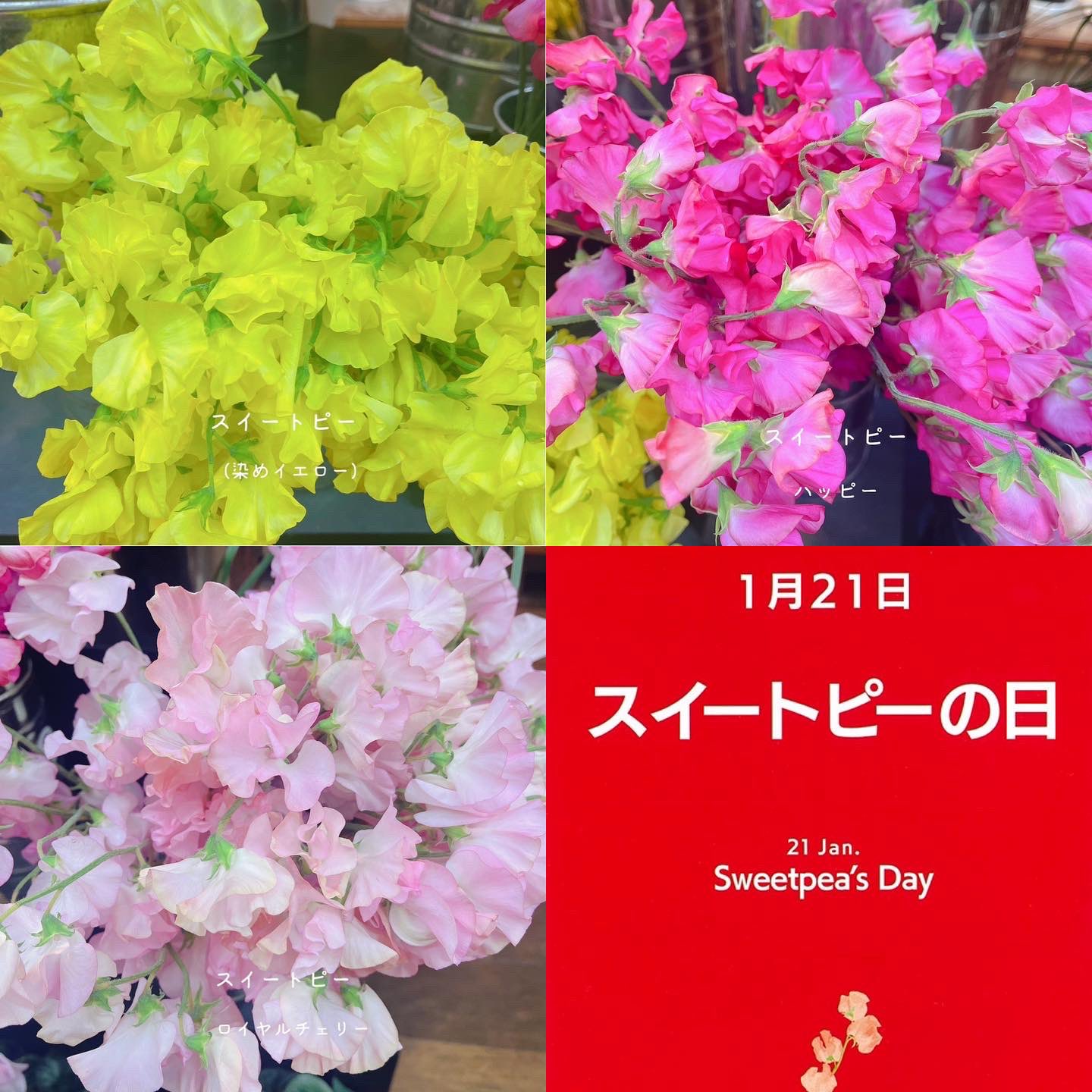 黒沢生花店 Kurosawaflower Twitter