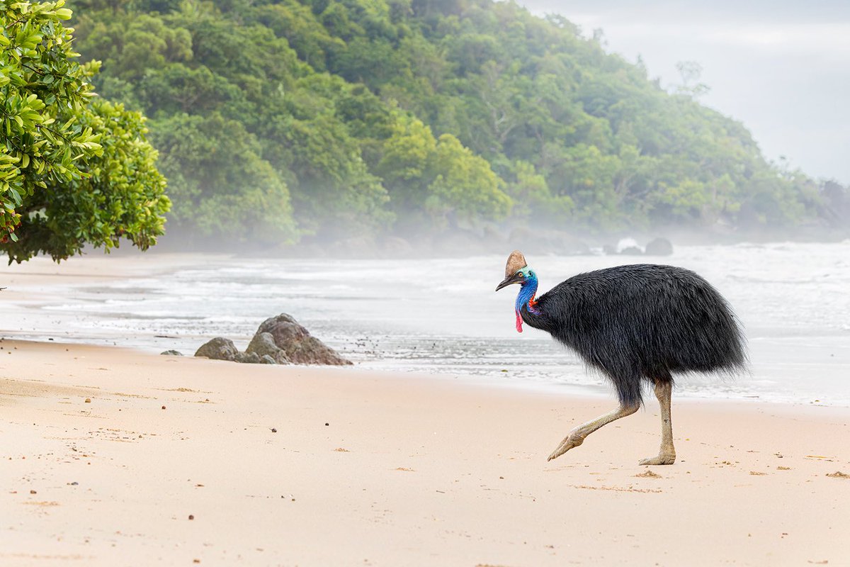 Jan Wegener tweet media