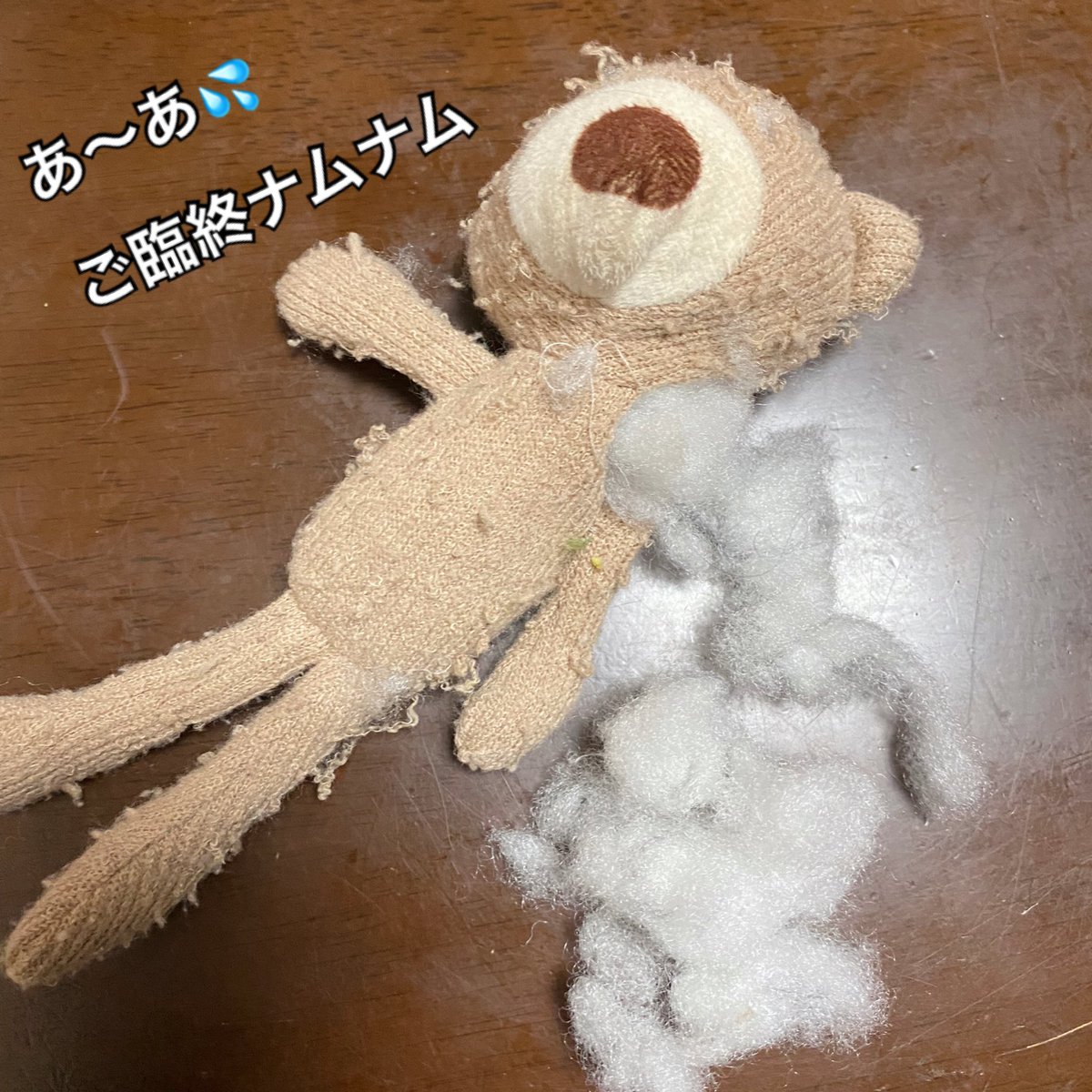 cyaaboooo's tweet photo. ⭐️生後93日(3ヶ月)⭐️
ウエイトドールとハイポーズ📸
こんなに大きくなりました❣️
やんちゃ娘💕

#犬 #犬の赤ちゃん #ミニチュアシュナウザー #日常 #夫婦 #なかよし #ホワイト #ブラックアンドシルバー #家族 #ユンカース #ヴァイス #アンネリース #ベアトリクス  #宮崎県 https://t.co/lhWiG1MWKF