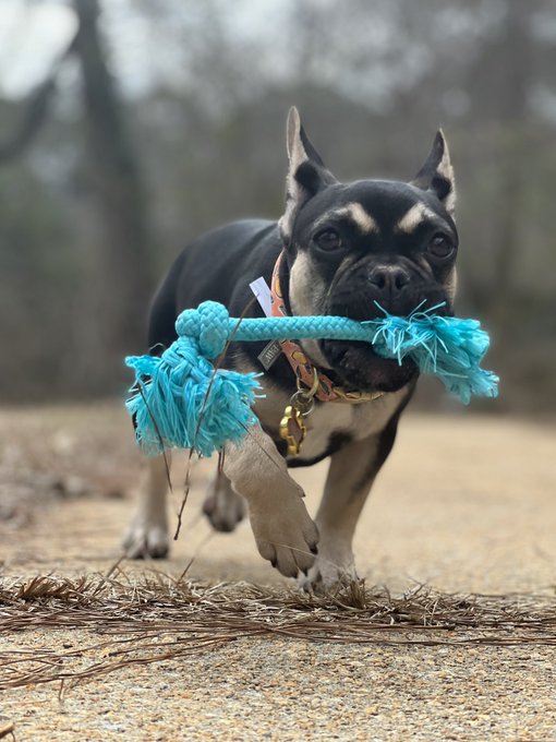 TW Pornstars - Ishmcfly. Pictures and videos from Twitter. Page 3