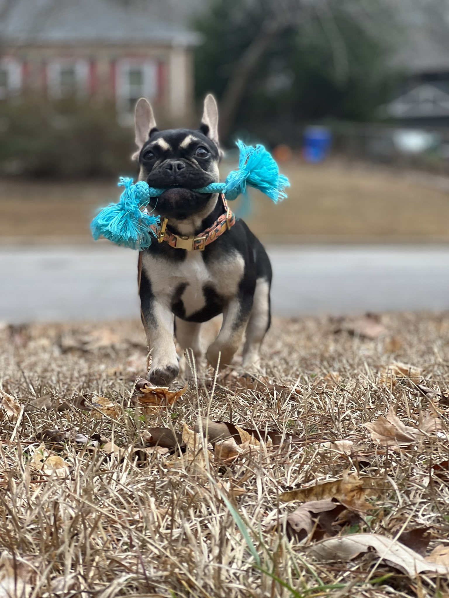 TW Pornstars - 3 pic. Ishmcfly. Twitter. 😭 ️ instead of having a child