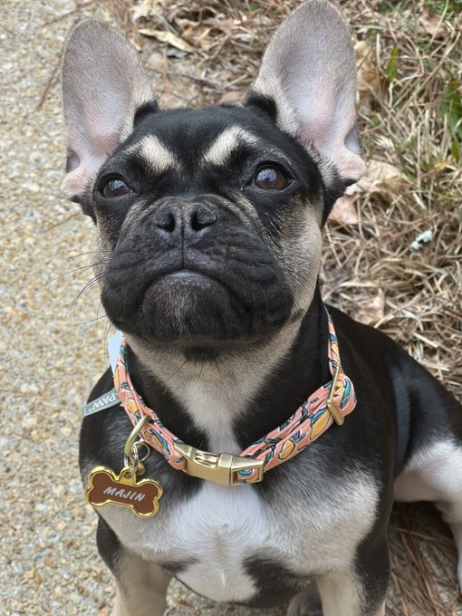 TW Pornstars - Ishmcfly. Pictures and videos from Twitter. Page 3