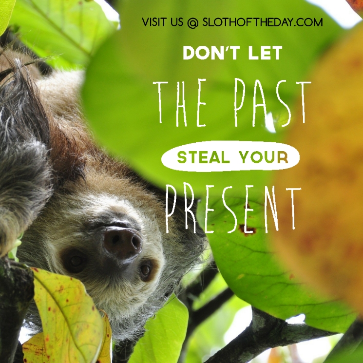 day_sloth's tweet photo. Sloth Says... Do Not Let The Past Steal Your Present
Learn more about these adorable creatures please visit our website https://t.co/mXqe9I0Gbi
#sloth #slothaddict #lovesloth #slothlover #slothoftheday #slothtattoo https://t.co/cDHALqXfSI