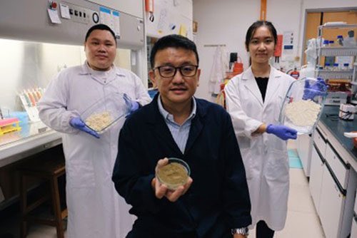 The food industry is at center of multiple bottlenecks hurting food production – extreme weather, supply chain disruption, inflation &amp; political conflict. Singapore’s Nanyang Technological Uni (NTU) have found a sustainable food solution: fermentation bit.ly/3W5xw88
