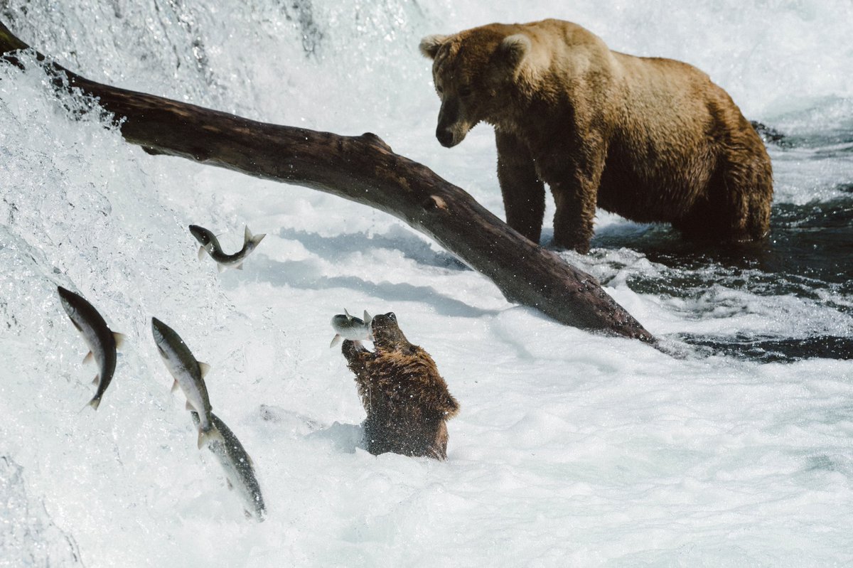 photos i took in alaska