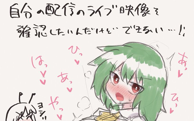 割と気軽に配信できそうで良かったけどホントに画面そのまま映るから個人情報には気をつけないとって感じでした! 