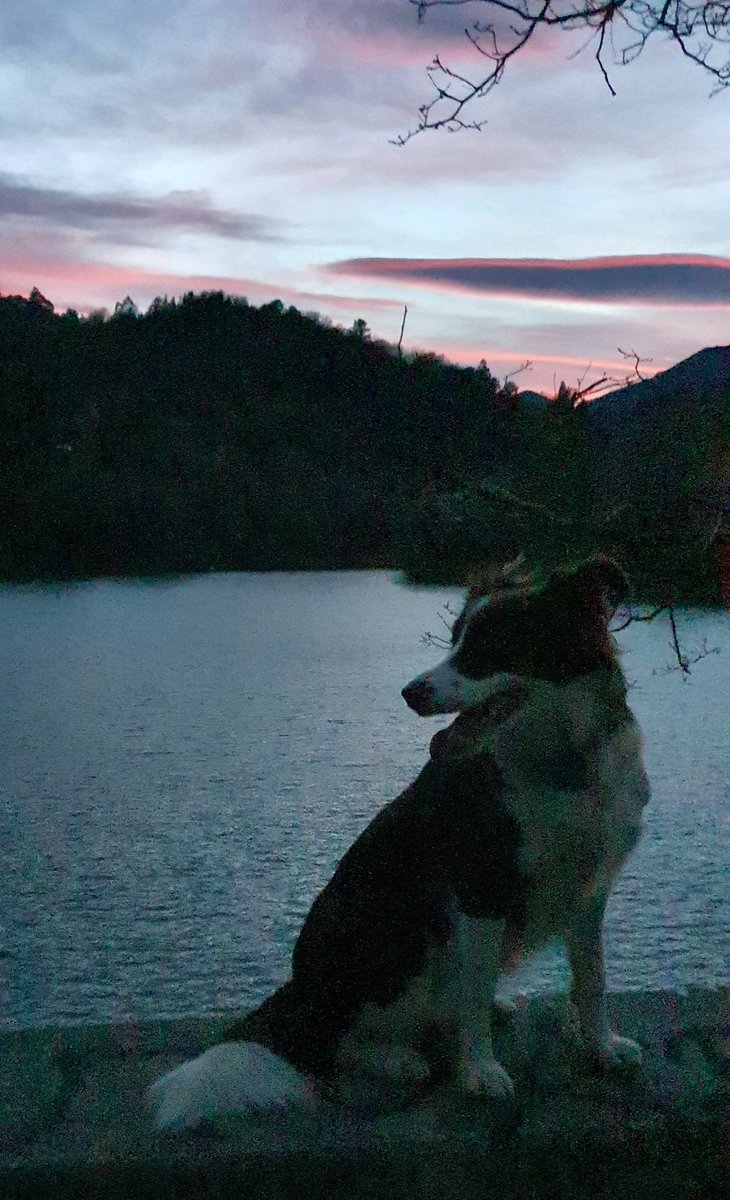 iparatx's tweet photo. @InversorMileuri Es el embalse de #Gorosriza, más allá de Barakaldo, en el #Regato, a las faldas del #Arroletza y el #Argalario donde muere el valle.
Abrazote amigo https://t.co/AoCvzzjAZK