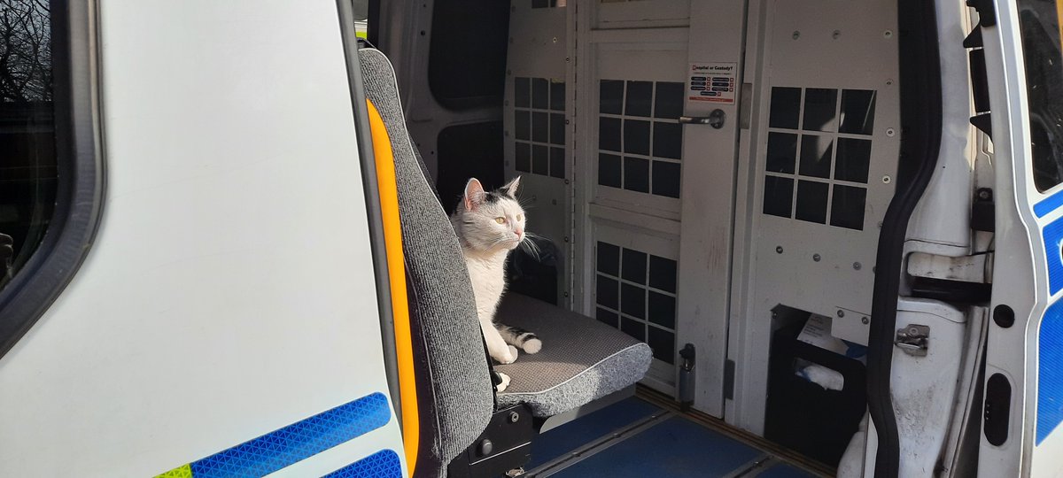 MPSRoyal_Parks's tweet photo. We are sad to announce that Chopsie the Hyde Park Police Station Mouser sadly passed away this afternoon after a short illness. We will miss him greatly. https://t.co/UHCP86szwg