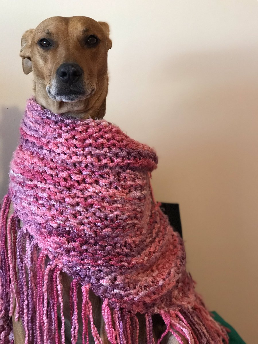 Cómo empezó 😕 // Como sigue 👑 

Olivia 🤍
#AdoptaNoCompres