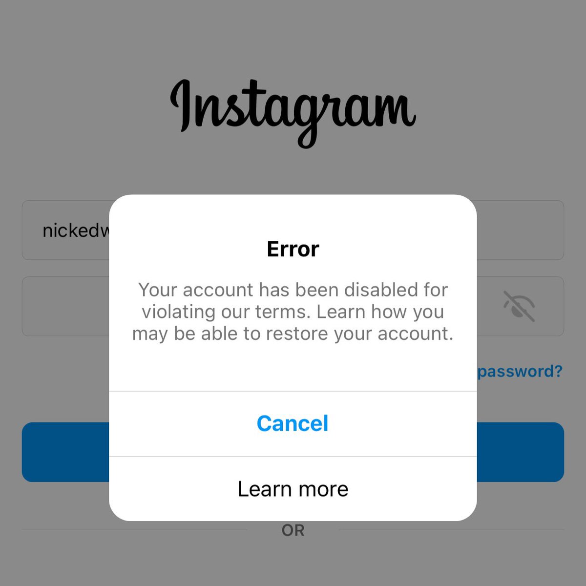 NickEdward's tweet photo. The #bussy that broke my #insta. Worth it @ibarelyknowe https://t.co/AMYMkauXZB