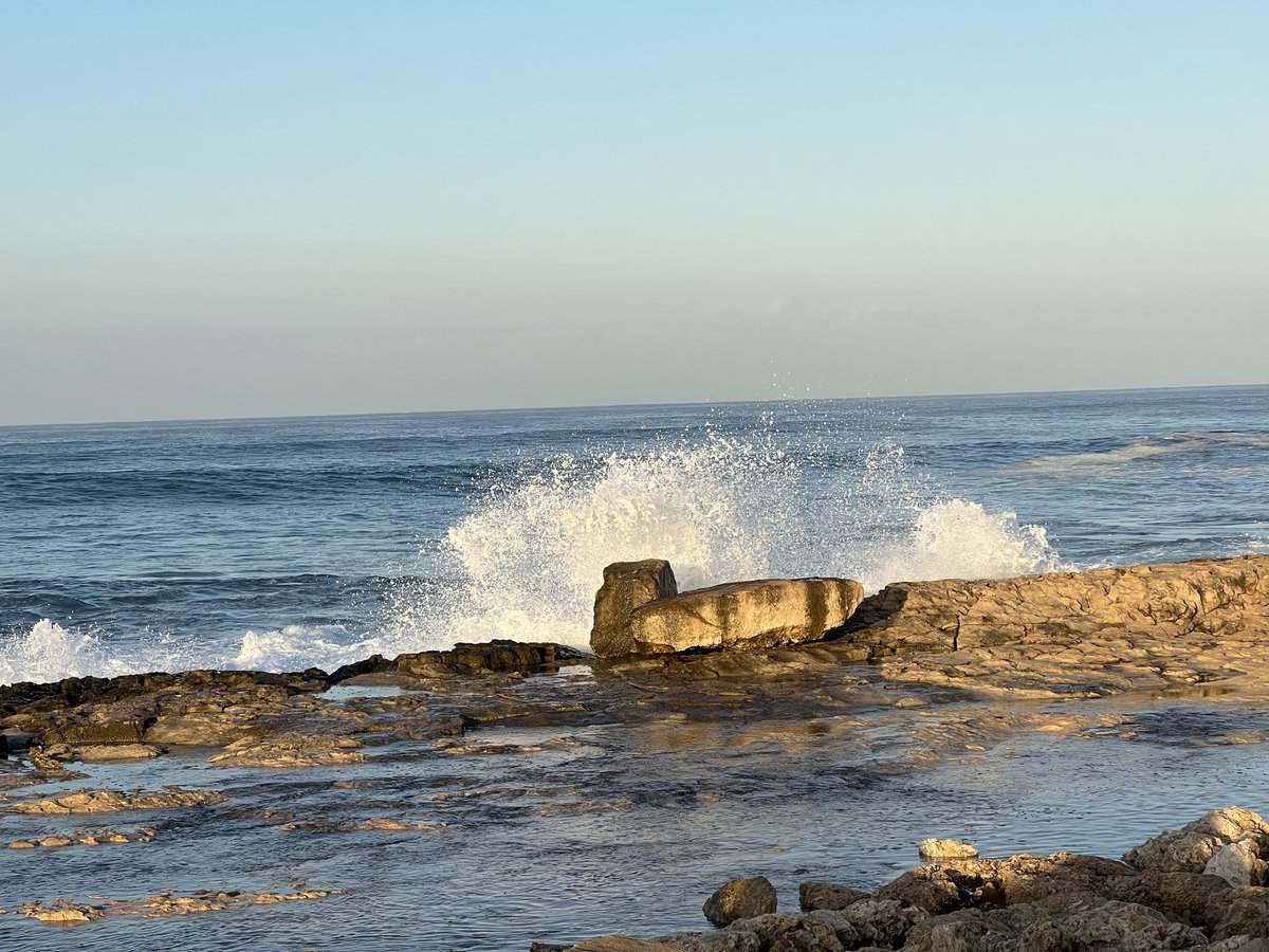 Bill Dudney tweet media