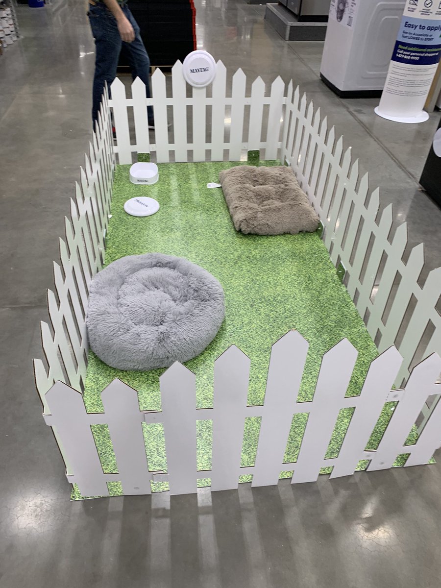 captinmojo's tweet photo. Lowes is having a dog pet event today until 1 pm and I am having the time of my life meeting so many dogs #DogsofLowes https://t.co/HbpvoAejuR
