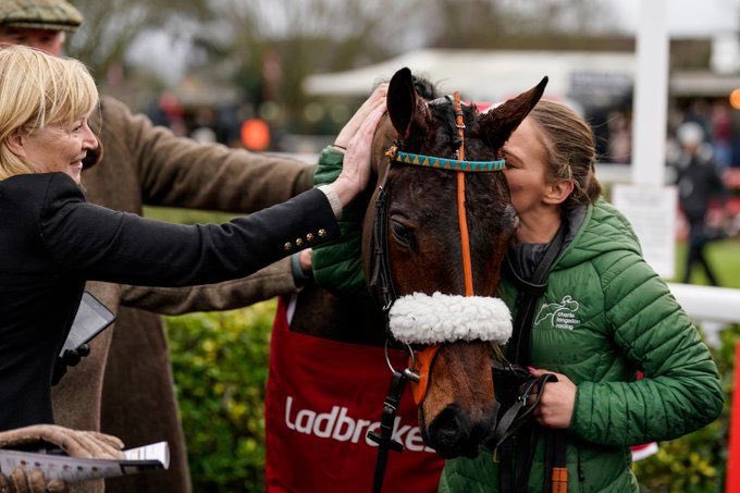 Glimpse of gala you are a mare of a lifetime ❤️