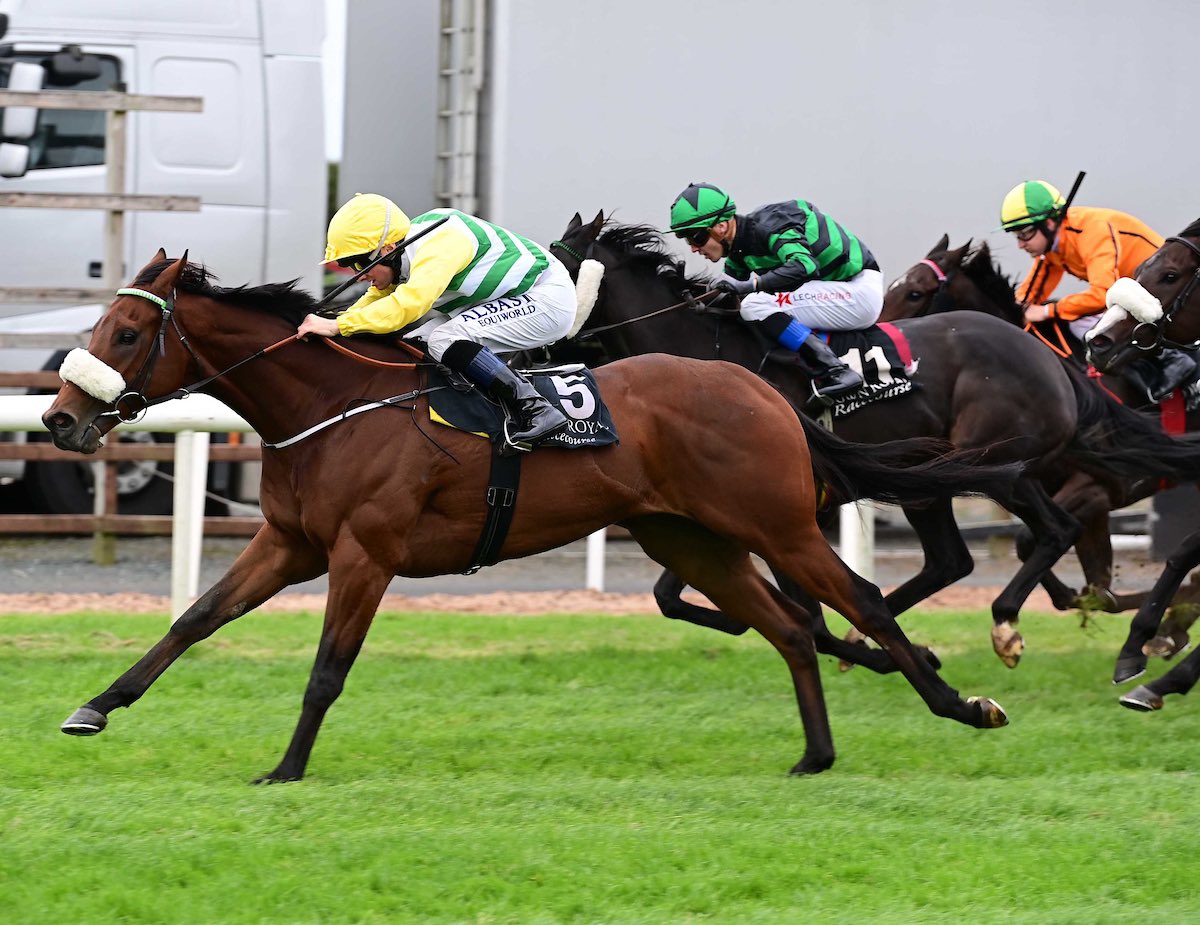 Shares available
Gegenpressing, a 3 time winner, is being syndicated. He is a proper fun horse who looks sure to give us lots of days out. 
Get in touch for more info before he’s gone
#HartyRacing #BerminghamCameras