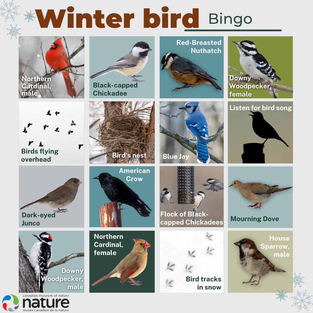 Museum of Nature tweet media