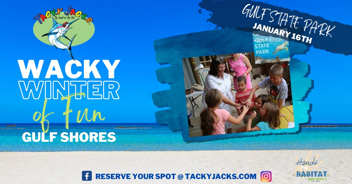 Join us for Hands-on Habitat on Monday, January 16, at 10am as we learn all about our environment on the Gulf Coast.  
Cost is Free to participate.  RSVP Required.  Lunch on your own.
Please arrive 15 minutes early and check in upstairs.
RSVP:tacky-jacks.myshopify.com/collections/ar…