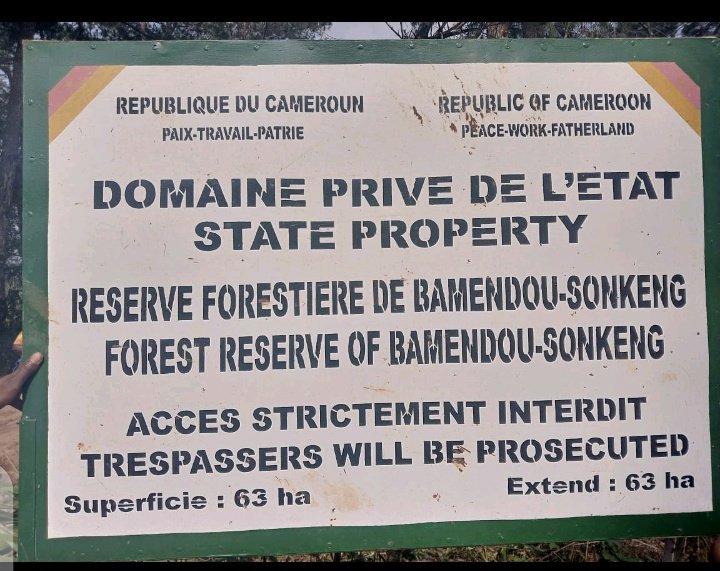 BaurelJean's tweet photo. With an area of 63 hectares, the Bamendou-Sonkeng Forest Reserve is a private domain of the Cameroonian state and deserves special attention in the process of sustainable conservation and resource monitoring.
@WRIafrica 
@Greenpeaceafric 
@CCNUCC 
@vanessa_vash https://t.co/mj5NF3JoF3