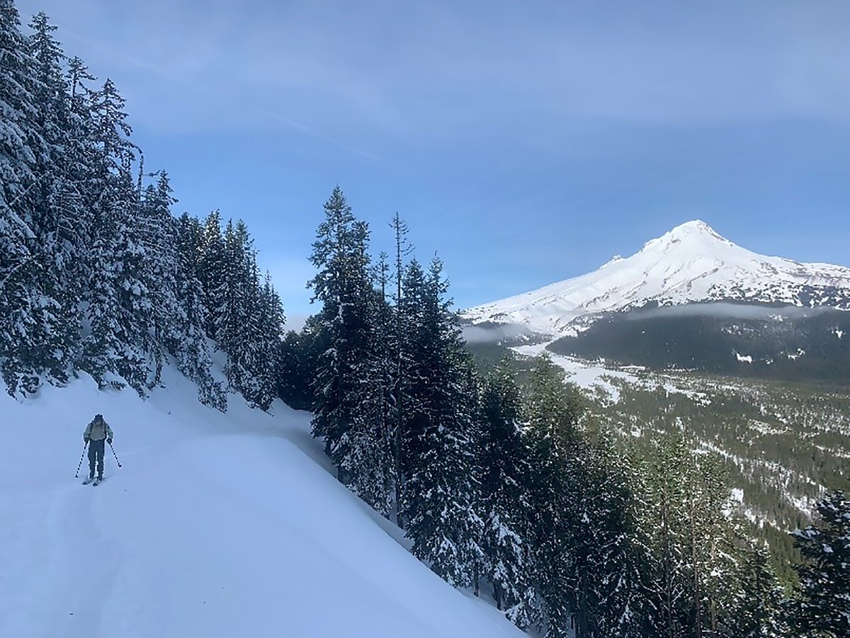 “In every walk with nature one receives far more than he seeks.”

—John Muir