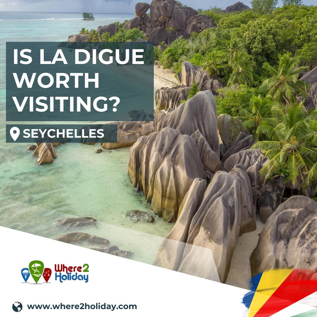 Where2Holiday tweet media