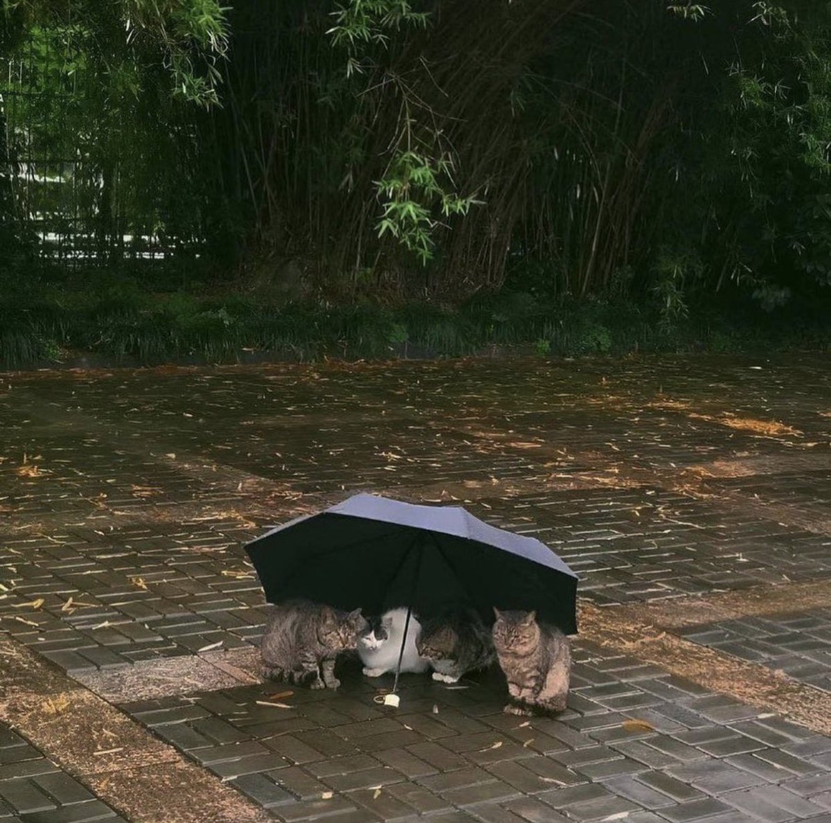 Ei11x's tweet photo. https://t.co/6tezJtEgjq