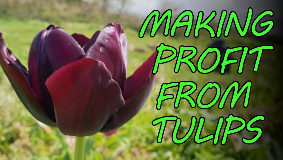 GWakelingWriter's tweet photo. 🌱 NEW VIDEO 🌱

It was wet. It was cold. BUT these tulips HAVE to go in before the flower farm season gets going. 

https://t.co/XCI2q5myU1

#gardening #flowerfarm #smallbusuiness https://t.co/boZTFviZcm