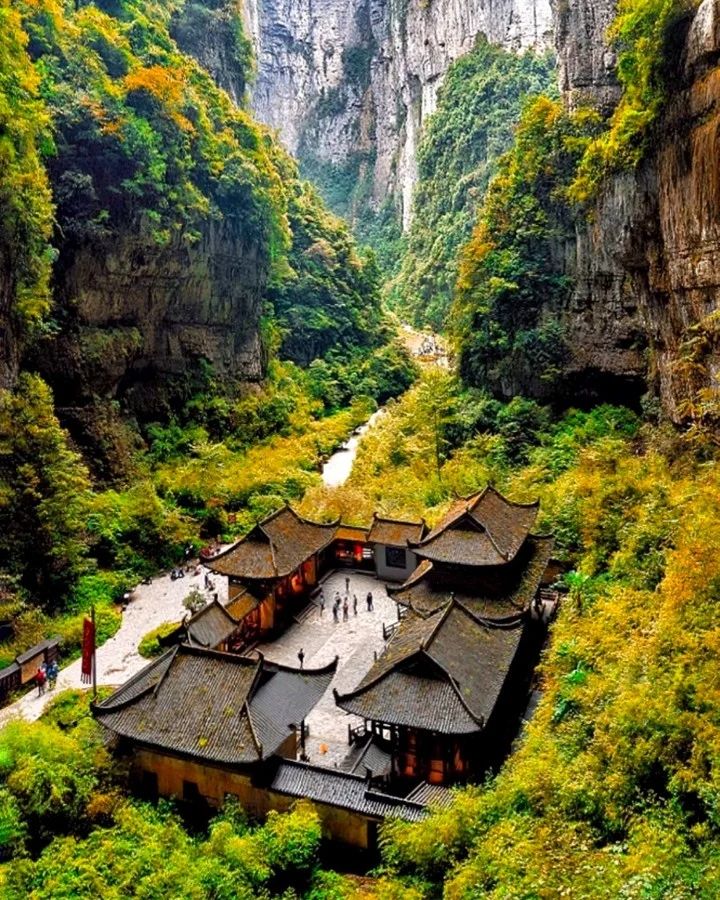 Random Pics tweet media