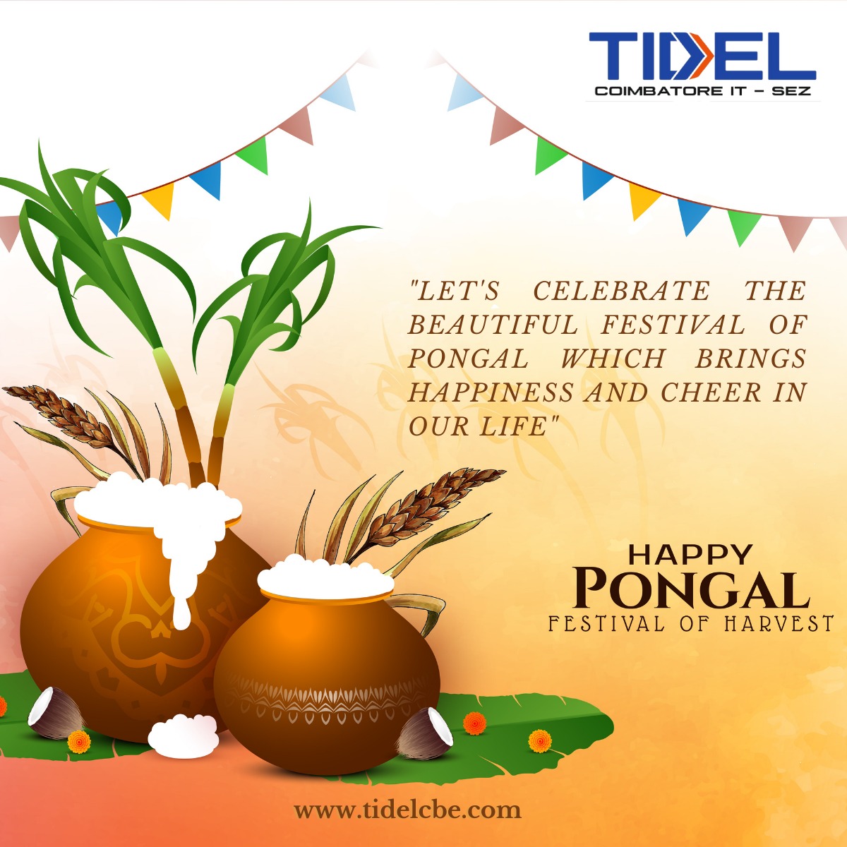 tidel_park's tweet photo. Happy Pongal wishes from TIDEL Family 🎉 #happypongal2023 https://t.co/VQ1jAGxB2q
