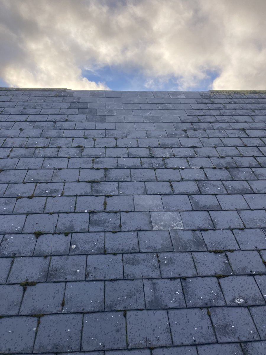 gally7p's tweet image. How was your day 🤨 #windyweather💨🌬