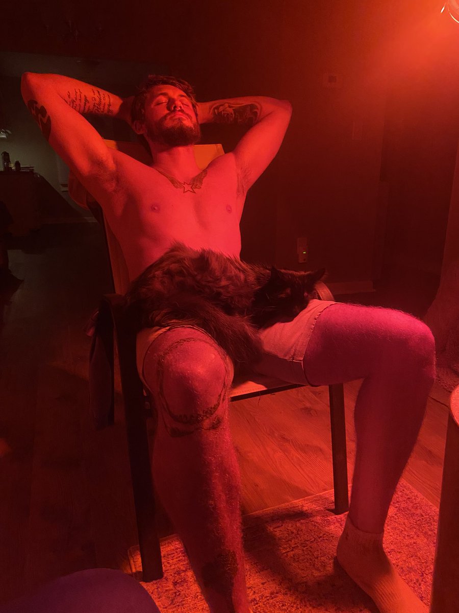 EmilyAllegretti's tweet photo. The “I hate cats” boyfriend turning into adopting a stray and feeding all the neighborhood cats https://t.co/kc1AJzE5l9