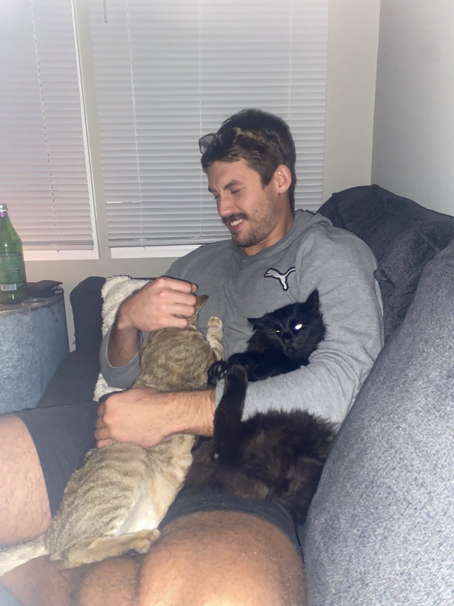 EmilyAllegretti's tweet photo. The “I hate cats” boyfriend turning into adopting a stray and feeding all the neighborhood cats https://t.co/kc1AJzE5l9