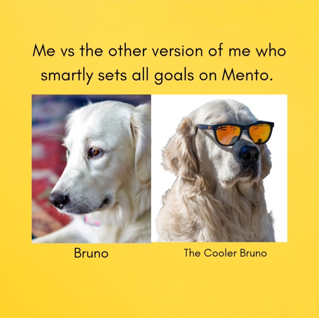 All getting messed up as exams approaching soon schedule and achieve your learning goals using your study buddy @mentomind 
.
Donwload the app now!!
.
#studygram  #studyinspiration #studying #studyspiration #memes #meme  #memeoftheday #exam #exammemes #exames #exams #examseason