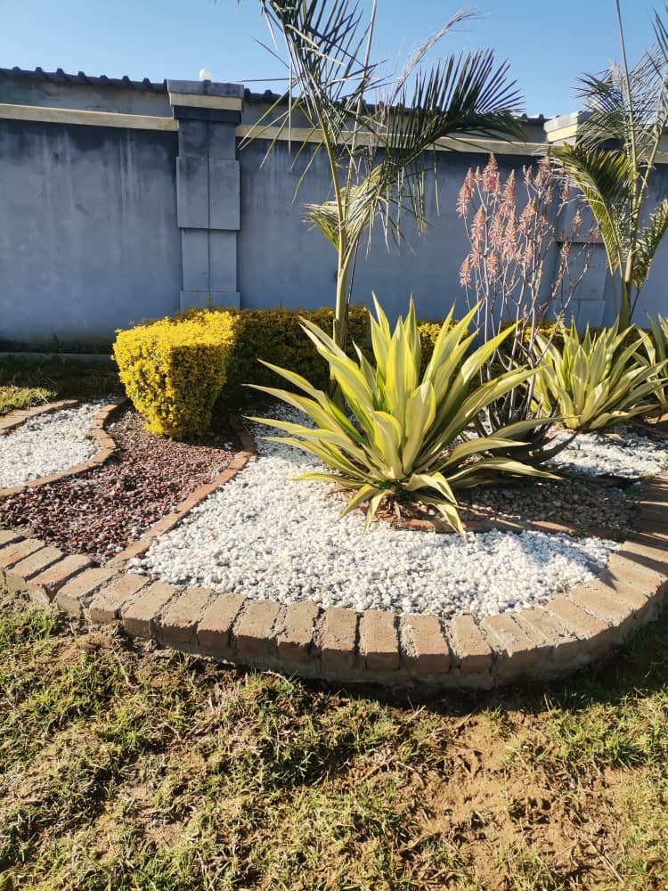 BlessingMeya5's tweet photo. Sayonara landscaping services l do landscaping https://t.co/oB4xkx5fhV